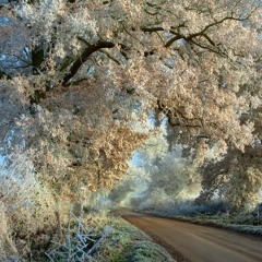 The Konkretz - Brrr + Bonus Track