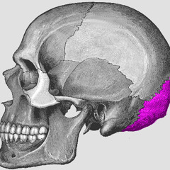 Metatron project - Mage (Demo)