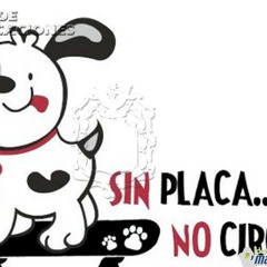 REGISTRO DE MASCOTAS - Municipalidad de Caraz