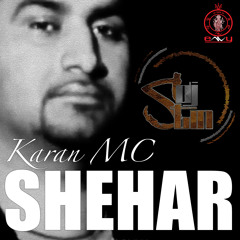 DJ Stin & Karan MC - Shehar String Theory Remix