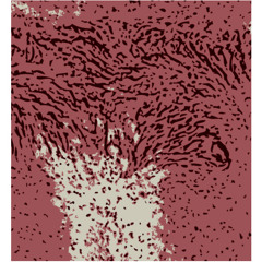 Ædler Ritter(snippet)