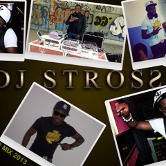 DJSTROSS - TH3 SP3CIALIST SUMMER MIX 2013