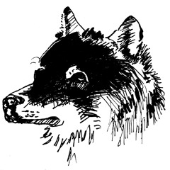 Because You're Young (Cock Sparrer)