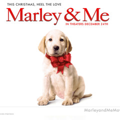 Marley And Me - SoundTrack - Played by Jerlian Sena