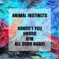 Animal Instincts - Haven't You Heard B/W All Over Again
