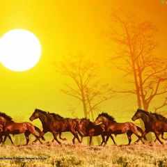 Open Road Galloping Into The Sun