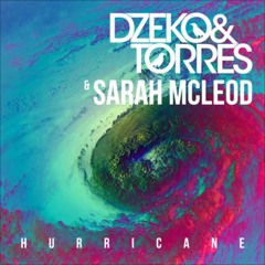Dzeko & Torres feat Sarah McLeod - Hurricane (Leo Porti Bootleg) PREVIEW