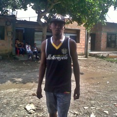 Nardo Ranks Rum Shaker