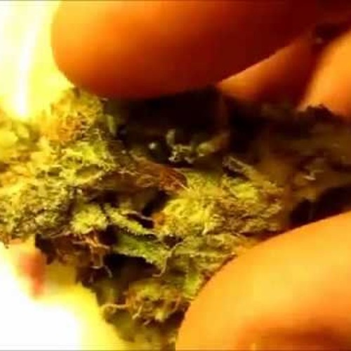 Devilman - Smoking Weed (SnoopyDubz beats) Preview