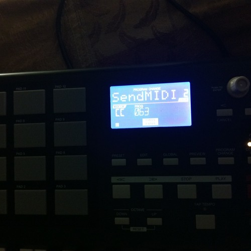 WarmUP Riddim