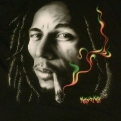 Bird On A Wire (Freestyle)