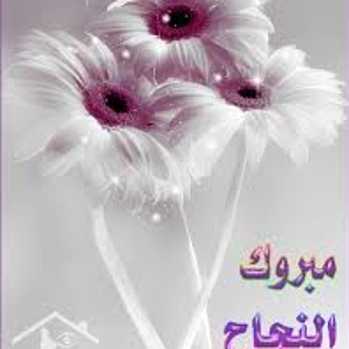 اعلان التفوق Mixs