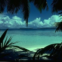 Lifes A Beach