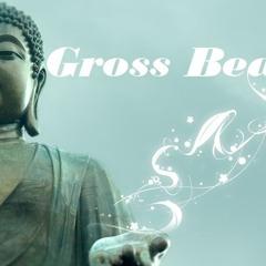 Gross Beat