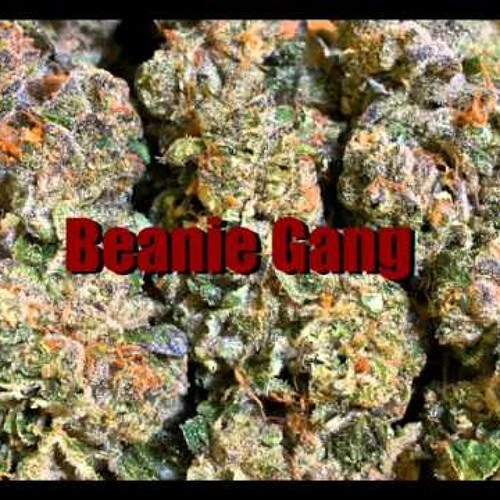 Fonk Season- Marcus B Of Beanie Gang (prod.ChadCannabis)