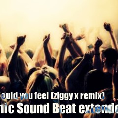 Bool Would You Feel (ziggy X Remix) (Dinamic Sound Beat Extended Mix)