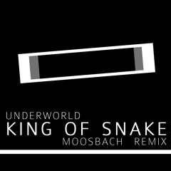 Underworld - King Of Snake (Vando Remix)