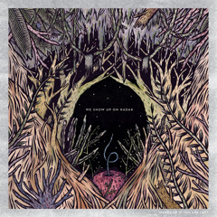 We Show Up On Radar - Hands Up If You Are Lost