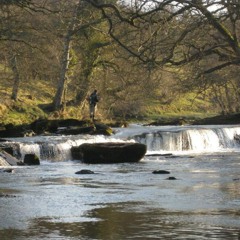 TROUT - UNDER CARRIGE