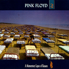 Pink Floyd - Sorrow