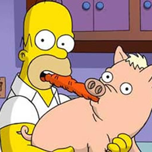 Zook - Spider Pig
