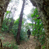Naturaleza Mp3