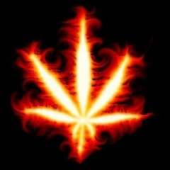 Donde Estan los Que Fuman Marihuana - (DJ AlejandrO BaMa Original Mix Pvt 2013) DEMO