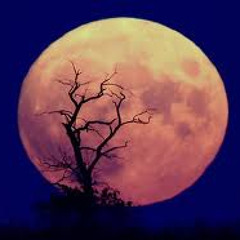 Share The Moon - Indigo Girls - Remix
