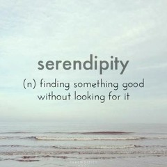 Bader Al-Shaibani - Serendipity ...