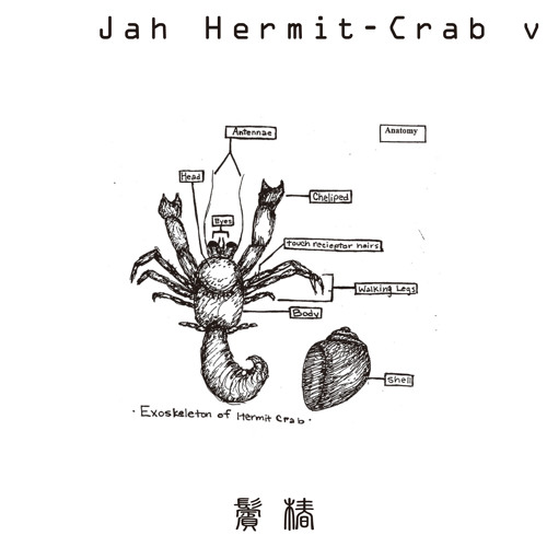 鬢椿 bintsubaki / 1. hermit-crab