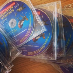 Muziek In Mijn Hoofd