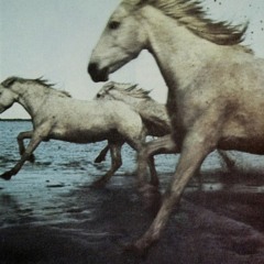 Bloodbuzz Ohio (The National)