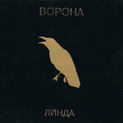 Бархат