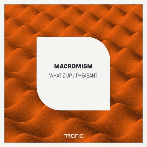 Macromism - What'Z Up (Original Mix)