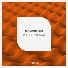 Macromism - What'Z Up (Original Mix) [Tronic]