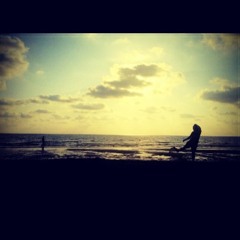 Summer's end Foo Fighters (Cover)