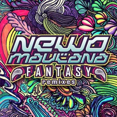 Fantasy Remixes EP (preview)