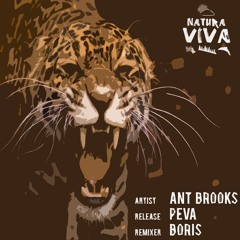 Ant Brooks - Peva (Boris Remix) [Natura Viva]