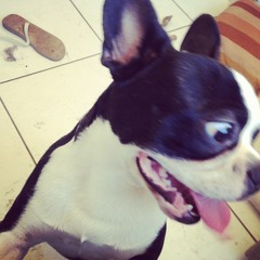 O Sabor Do Chá Ft. Kep Prod. MorTão