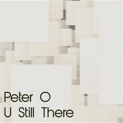 Peter O - U Still There (Distortion Inc. Remix)