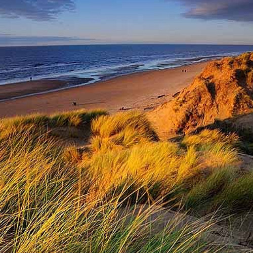 Sand Dunes at Dusk