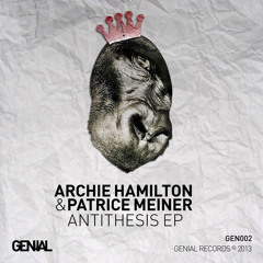 Patrice Meiner & Archie Hamilton - Comatose Commodity (Dubsons remix)