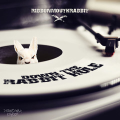 Ribbonmouthrabbit - Who Is It
