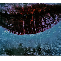 Corrupted...sick...dangerous...bitch