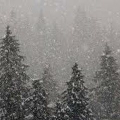 Copos de nieve (Snowflakes)