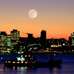 8. Luxury Prod. Dopamine