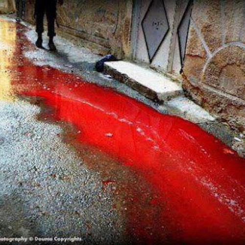 ما بينفع اليوم الجدل وصفي & جولي