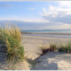 West Wittering Beach, 8th July 2013, East Sussex (UK)