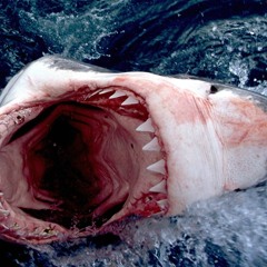 El Profetta Loco - ORGANIZED HUSTLAZ