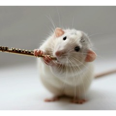 Dance of the Little Swans Flute Trio